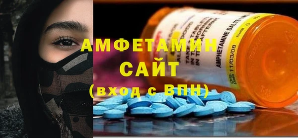 гидра Ельня