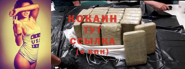 гидра Ельня