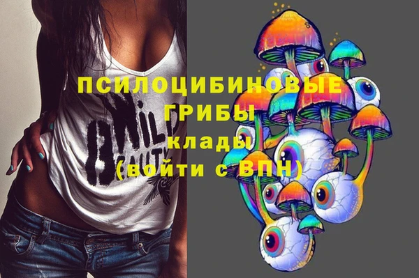 стафф Заволжье