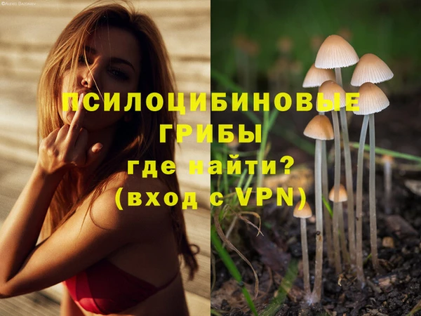 гидра Ельня