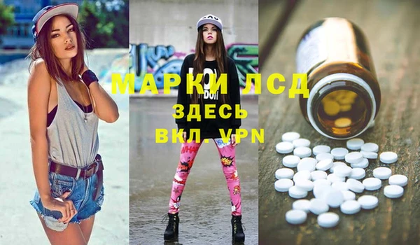 твердый Заводоуковск