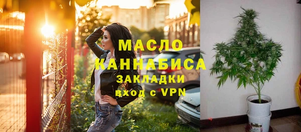 гидра Елизово