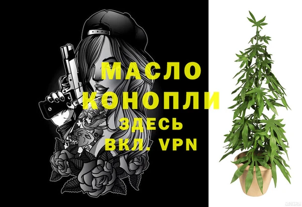 гидра Ельня