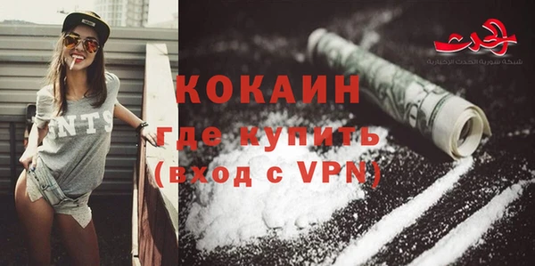 гидра Елизово