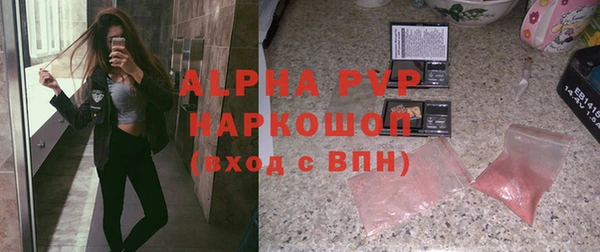 гидра Ельня