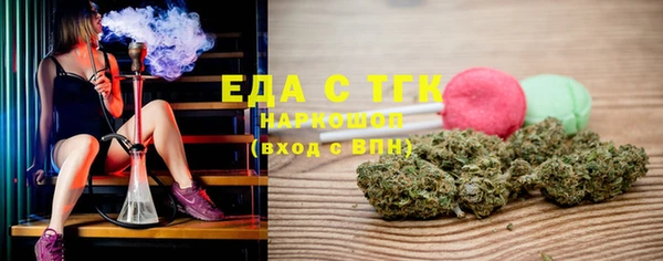 гидра Ельня