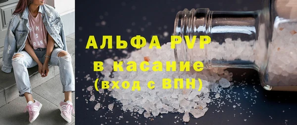 гидра Елизово