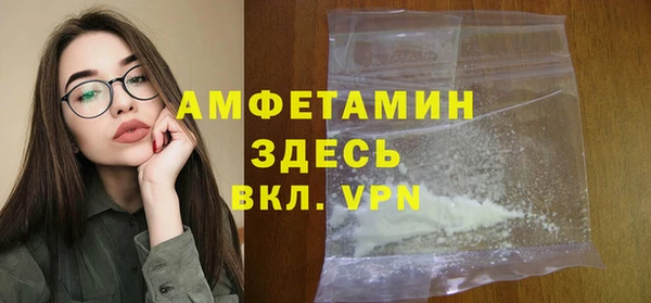 гидра Елизово