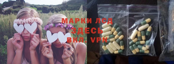 гидра Ельня