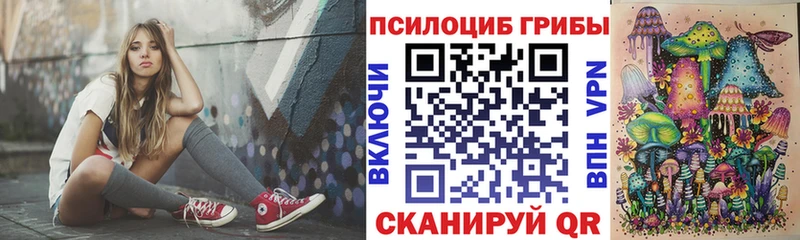 Псилоцибиновые грибы Psilocybe  Купить  Сосенский 